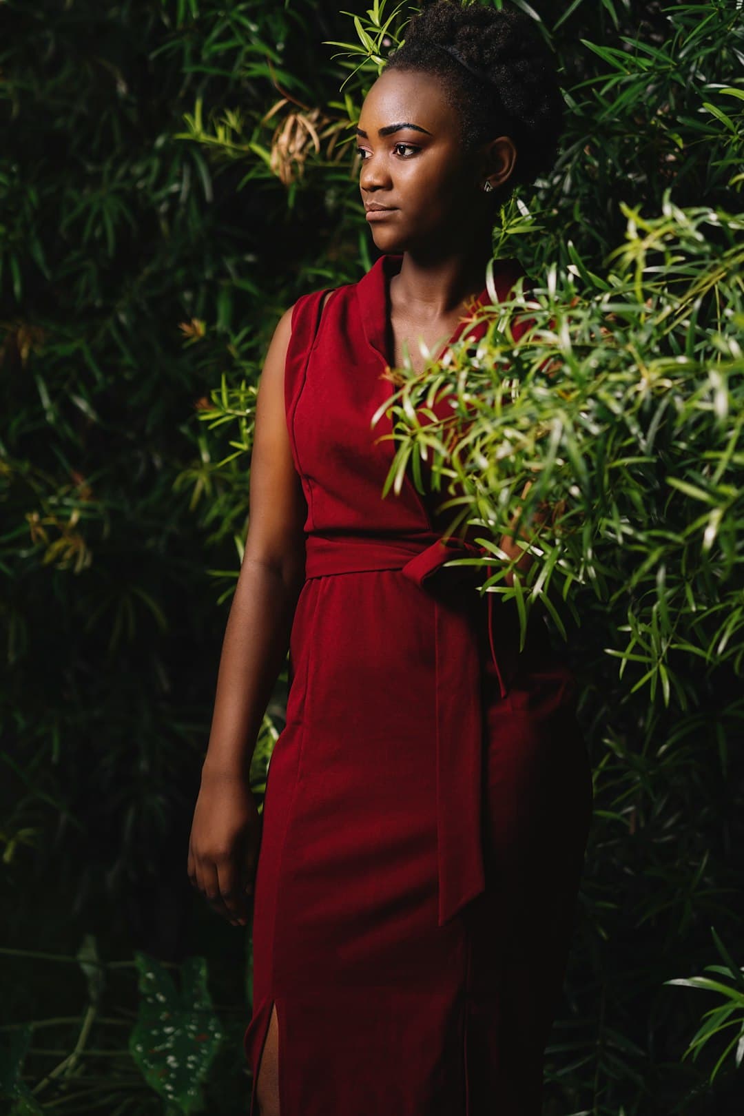 Wilder Wrap Dress